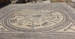 DSC00602a